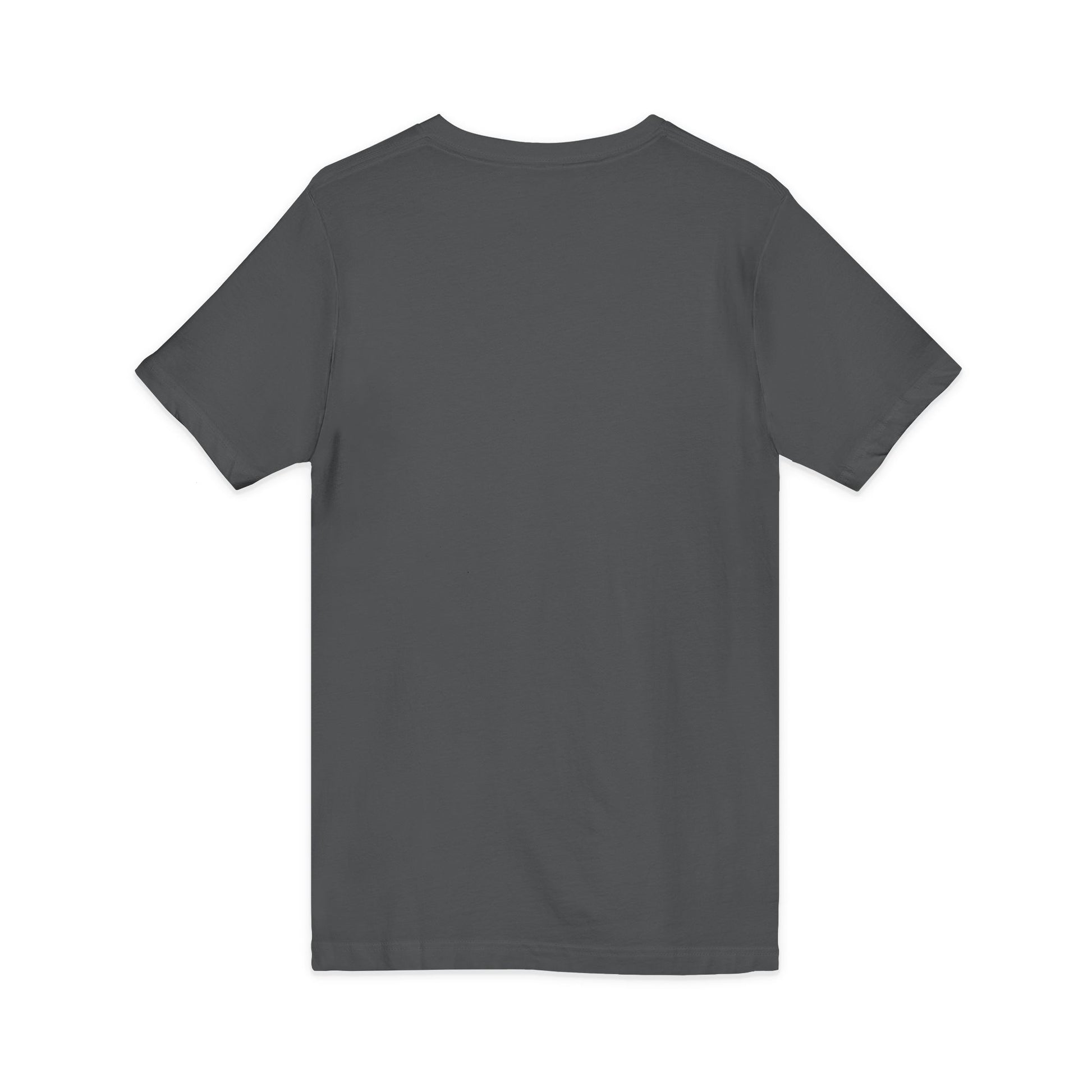Plain dark gray t-shirt on a white background