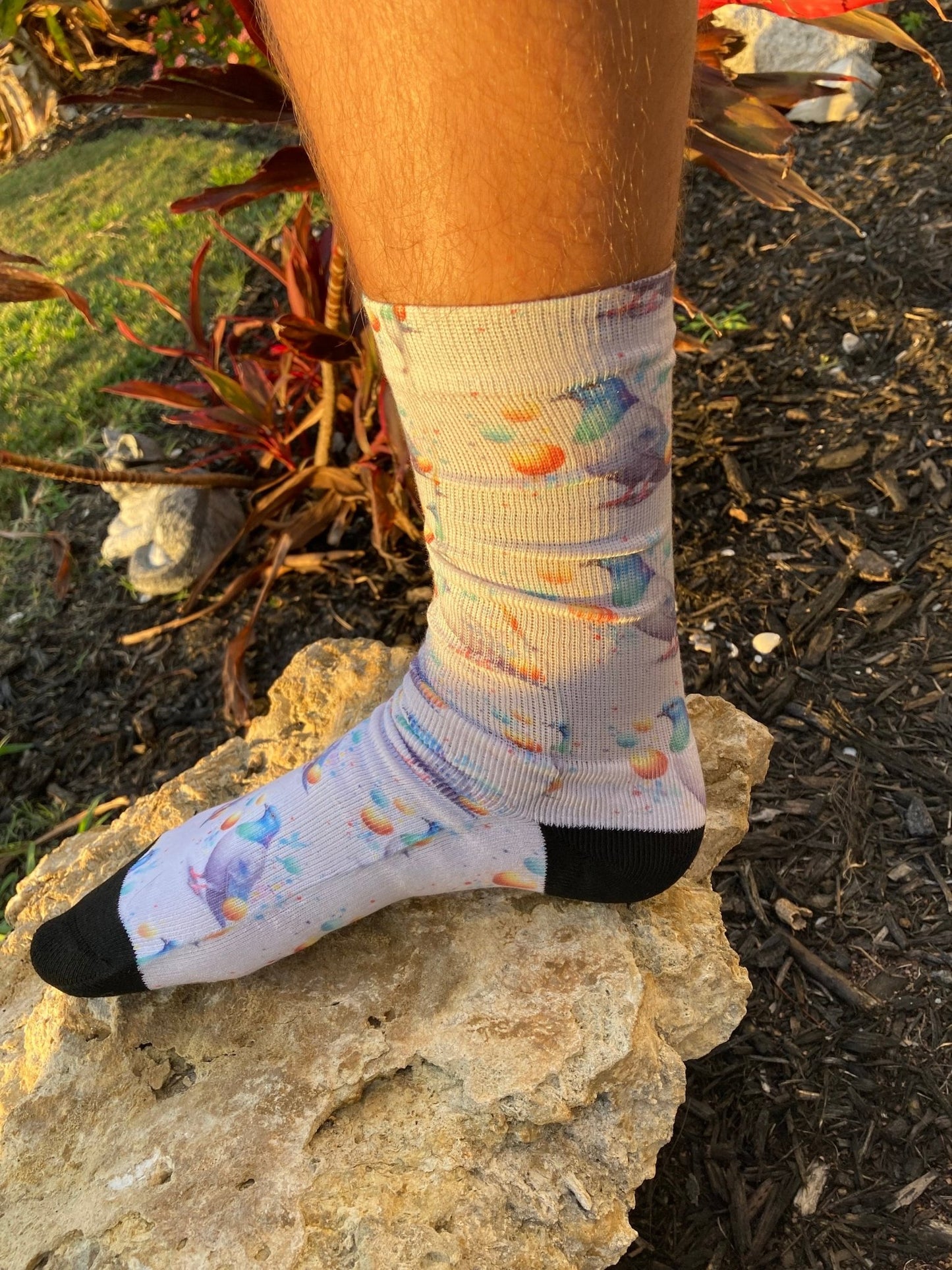 Colorful Pigeons and Ping Pong Balls Socks - Funky & Fun Style