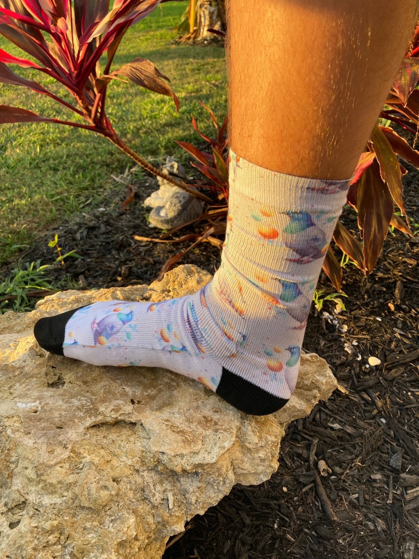 Colorful Pigeons and Ping Pong Balls Socks - Funky & Fun Style